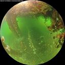 ./images/calvert/underwater/20260714/underwater20260714_090001M.jpg