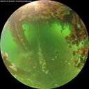 ./images/calvert/underwater/20260714/underwater20260714_091002M.jpg