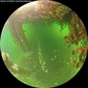 ./images/calvert/underwater/20260714/underwater20260714_092001M.jpg