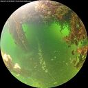 ./images/calvert/underwater/20260714/underwater20260714_093002M.jpg
