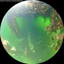 ./images/calvert/underwater/20260714/underwater20260714_093502M.jpg