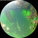 ./images/calvert/underwater/20260714/underwater20260714_094002M.jpg