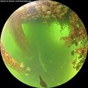 ./images/calvert/underwater/20260714/underwater20260714_103501M.jpg