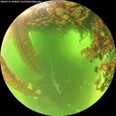 ./images/calvert/underwater/20260714/underwater20260714_104001M.jpg