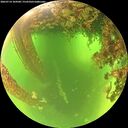 ./images/calvert/underwater/20260714/underwater20260714_104501M.jpg