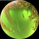 ./images/calvert/underwater/20260714/underwater20260714_105501M.jpg