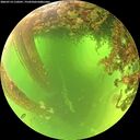 ./images/calvert/underwater/20260714/underwater20260714_110501M.jpg