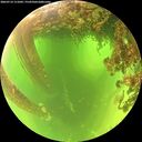 ./images/calvert/underwater/20260714/underwater20260714_111002M.jpg