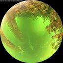 ./images/calvert/underwater/20260714/underwater20260714_112002M.jpg