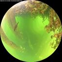 ./images/calvert/underwater/20260714/underwater20260714_113501M.jpg