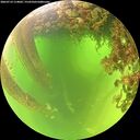 ./images/calvert/underwater/20260714/underwater20260714_114001M.jpg