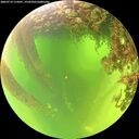 ./images/calvert/underwater/20260714/underwater20260714_115001M.jpg