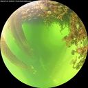 ./images/calvert/underwater/20260714/underwater20260714_120501M.jpg