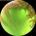 ./images/calvert/underwater/20260714/underwater20260714_121502M.jpg