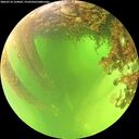 ./images/calvert/underwater/20260714/underwater20260714_124001M.jpg