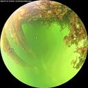 ./images/calvert/underwater/20260714/underwater20260714_134501M.jpg