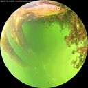 ./images/calvert/underwater/20260714/underwater20260714_135501M.jpg