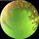 ./images/calvert/underwater/20260714/underwater20260714_144501M.jpg