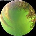 ./images/calvert/underwater/20260714/underwater20260714_154001M.jpg