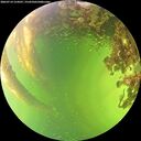 ./images/calvert/underwater/20260714/underwater20260714_154501M.jpg