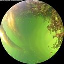 ./images/calvert/underwater/20260714/underwater20260714_160001M.jpg