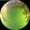 ./images/calvert/underwater/20260714/underwater20260714_160501M.jpg