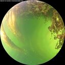 ./images/calvert/underwater/20260714/underwater20260714_161001M.jpg