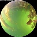 ./images/calvert/underwater/20260714/underwater20260714_162002M.jpg
