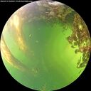 ./images/calvert/underwater/20260714/underwater20260714_163001M.jpg