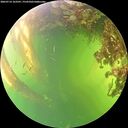 ./images/calvert/underwater/20260714/underwater20260714_163501M.jpg