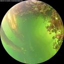 ./images/calvert/underwater/20260714/underwater20260714_165001M.jpg