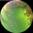 ./images/calvert/underwater/20260714/underwater20260714_165501M.jpg