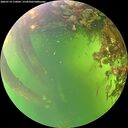 ./images/calvert/underwater/20260714/underwater20260714_170001M.jpg