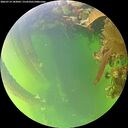 ./images/calvert/underwater/20260714/underwater20260714_183001M.jpg