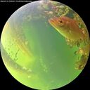 ./images/calvert/underwater/20260714/underwater20260714_190501M.jpg