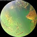 ./images/calvert/underwater/20260714/underwater20260714_192501M.jpg
