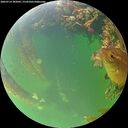 ./images/calvert/underwater/20260714/underwater20260714_202002M.jpg
