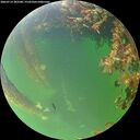./images/calvert/underwater/20260714/underwater20260714_202501M.jpg