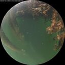 ./images/calvert/underwater/20260714/underwater20260714_215001M.jpg