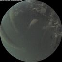 ./images/calvert/underwater/20260714/underwater20260714_222001M.jpg