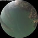 ./images/calvert/underwater/20260715/underwater20260715_051502M.jpg
