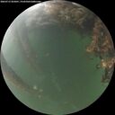 ./images/calvert/underwater/20260715/underwater20260715_052001M.jpg