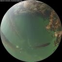 ./images/calvert/underwater/20260715/underwater20260715_053501M.jpg