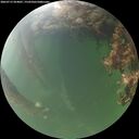 ./images/calvert/underwater/20260715/underwater20260715_054001M.jpg