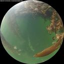 ./images/calvert/underwater/20260715/underwater20260715_055501M.jpg