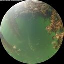 ./images/calvert/underwater/20260715/underwater20260715_060002M.jpg