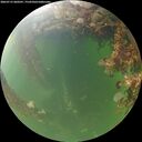 ./images/calvert/underwater/20260715/underwater20260715_060501M.jpg