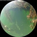 ./images/calvert/underwater/20260715/underwater20260715_062501M.jpg