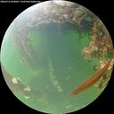./images/calvert/underwater/20260715/underwater20260715_063001M.jpg