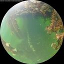 ./images/calvert/underwater/20260715/underwater20260715_063502M.jpg